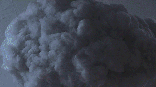 tumblr_n81dh8G34e1rte5gyo4_500.gif
