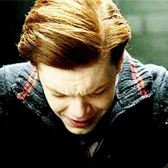 tumblr_njw8vvVlE01rt5ctno5_250.gif