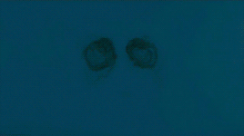 tumblr_nqq4ss3mwE1roh777o5_400.gif
