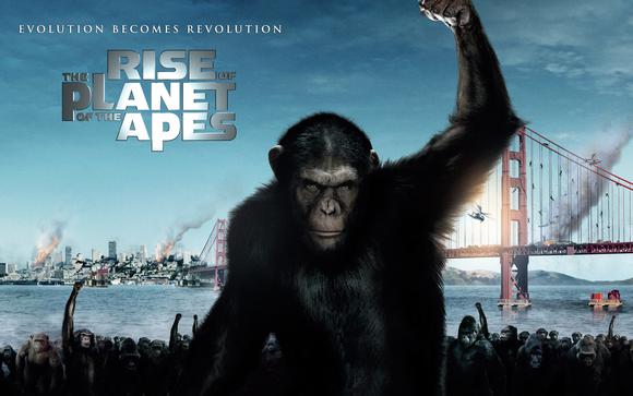 2011_rise_of_the_planet_of_the_apes-wide_large.jpg