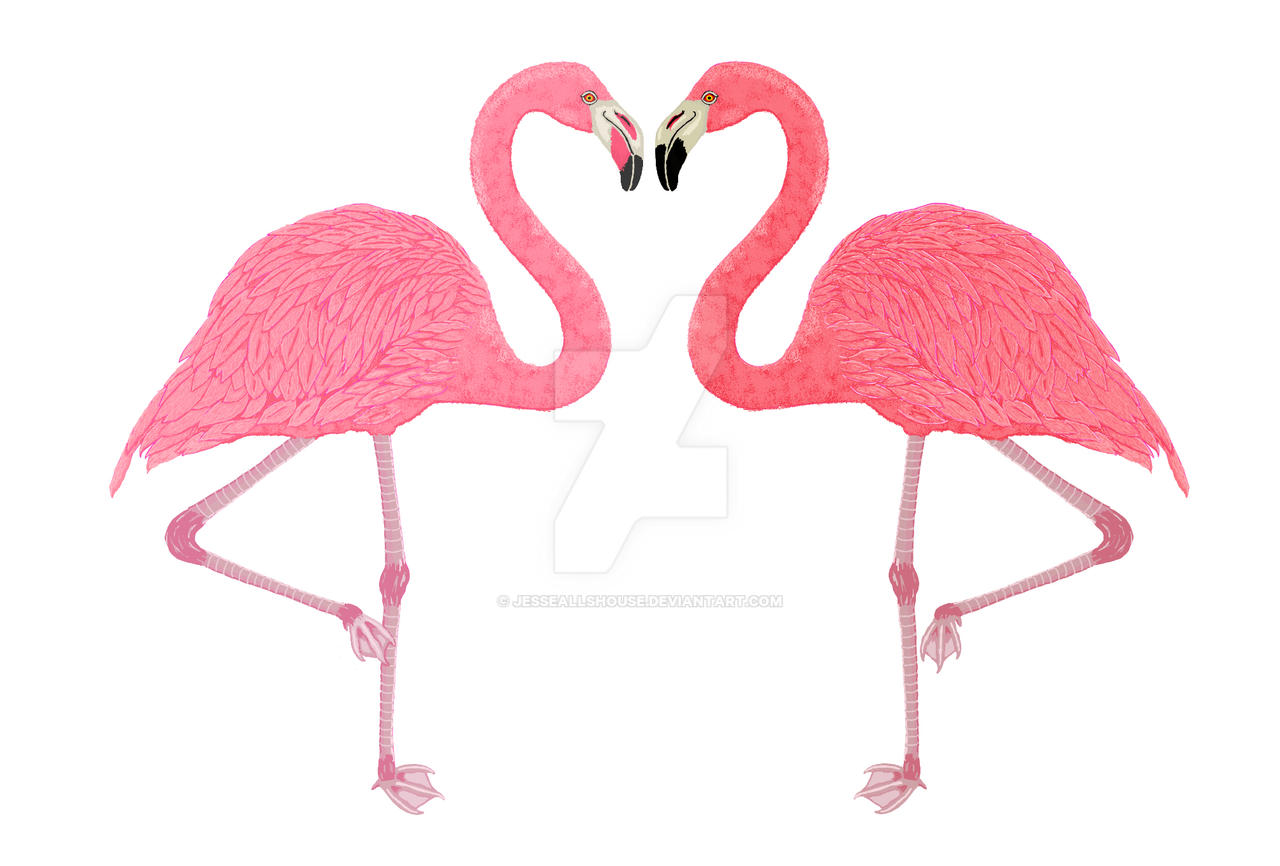 flamingos_by_jesseallshouse-dcy6ohb.jpg