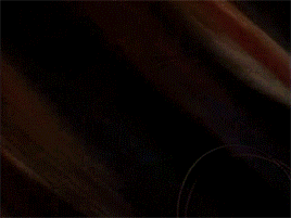 tumblr_on9j05kUZ31rrkahjo1_400.gif