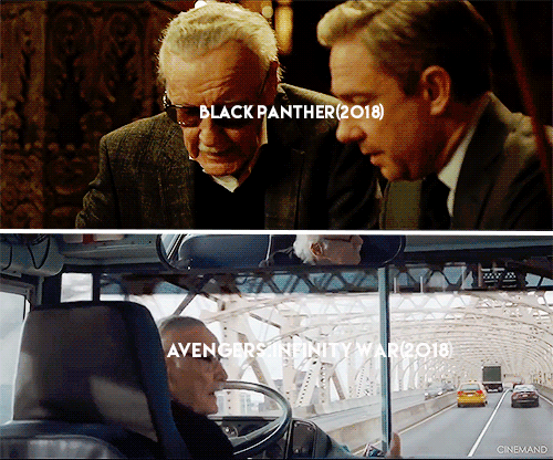 tumblr_p8wh76QLTz1wbng13o5_500.gif
