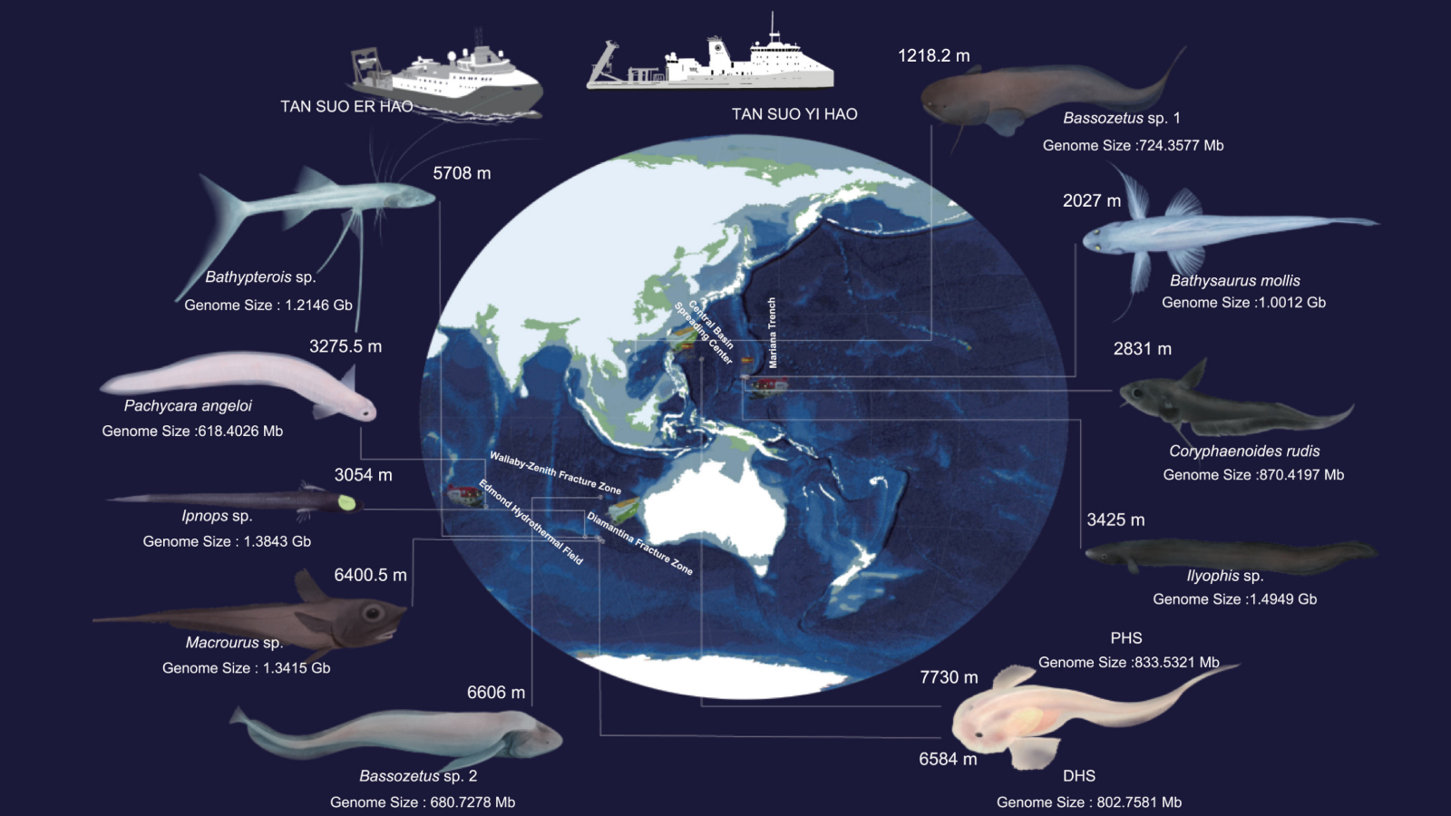 www.livescience.com