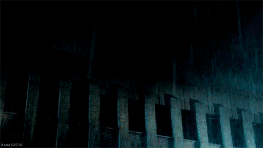 tumblr_nmz7s2BKeJ1rrkahjo4_540.gif