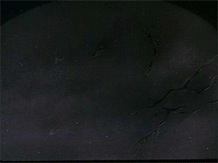tumblr_n4klcjQgLZ1rrkahjo4_250.gif