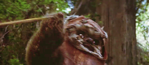 tumblr_mt6jodNCV91sr5ygso2_500.gif