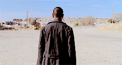 tumblr_n6jyxuQiQH1qglx18o8_250.gif