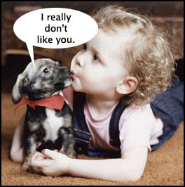 puppy.jpg