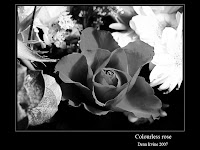 colourless.jpg