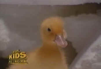 dynamoduck.jpg