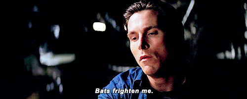 tumblr_nbn4lwg0y41qcmptjo1_500.gif