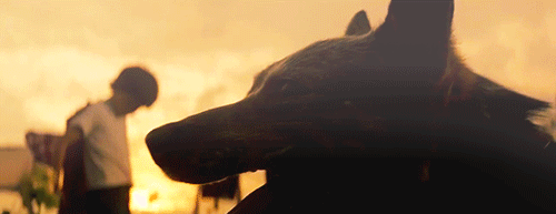 tumblr_m7jgawnDBq1rqew4vo1_500.gif
