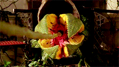 tumblr_n1ohf8Pavi1qm7xlio1_250.gif