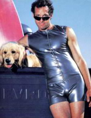 steveg.jpg
