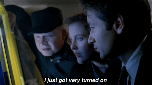 tumblr_nxt8noyPoT1ul1ymzo1_500.gif