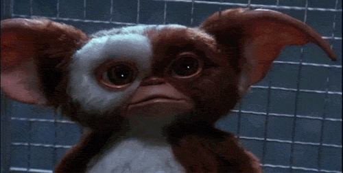 gizmo.gif