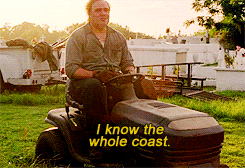 tumblr_n1w2r8jVP21qc58cto2_r1_250.gif