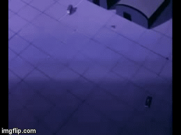 w6jsm.gif