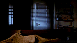 tumblr_nbv856ZWWb1s1v3r1o3_r1_250.gif