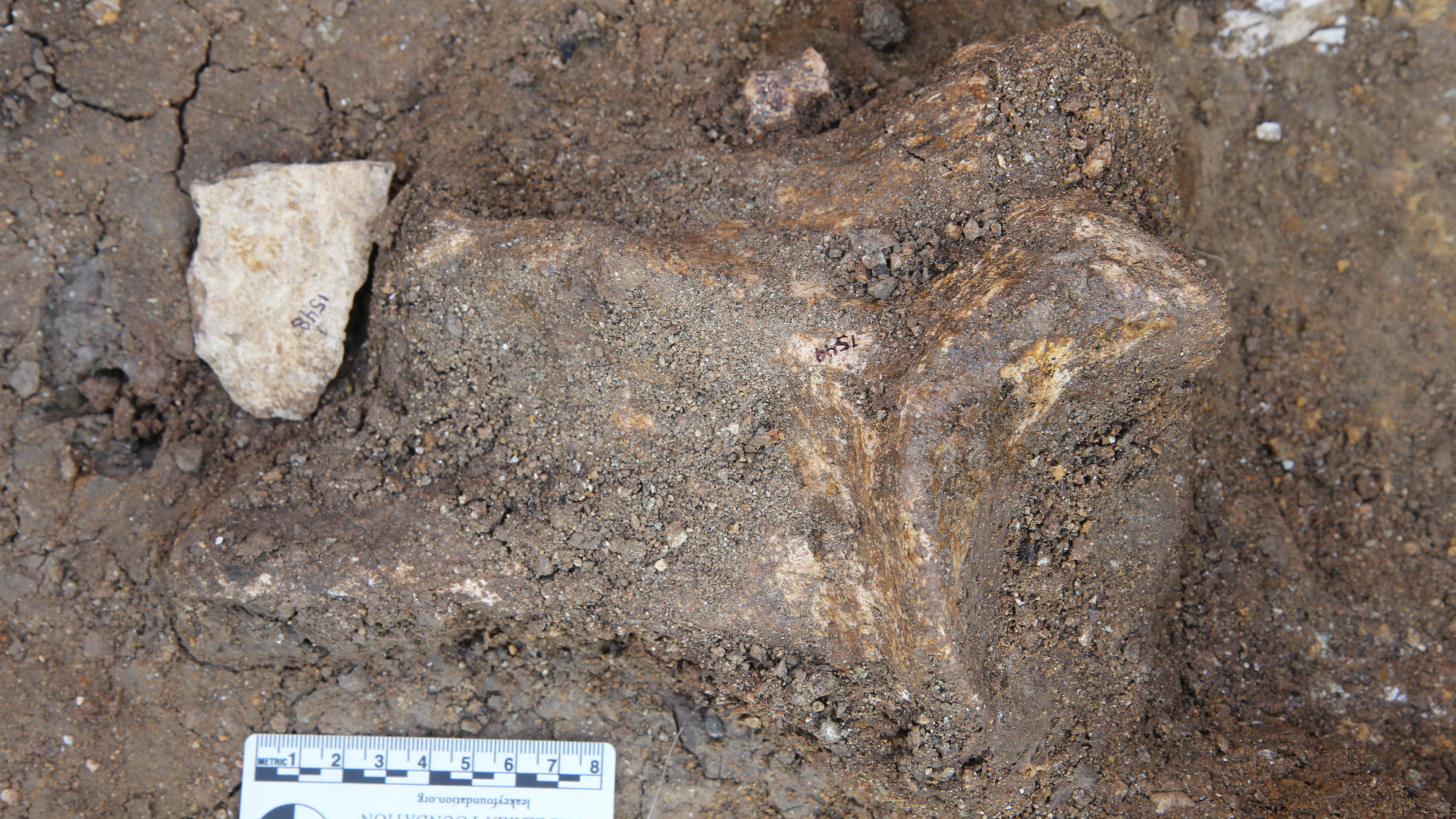 www.livescience.com