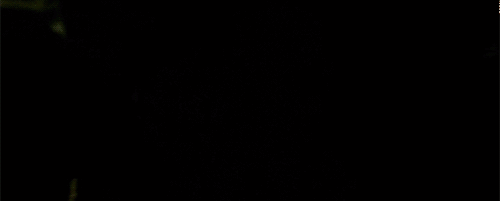 tumblr_lhh9snE0jM1qe5cn6o1_500.gif