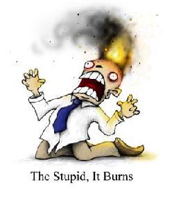 the-stupid-it-burns.jpg