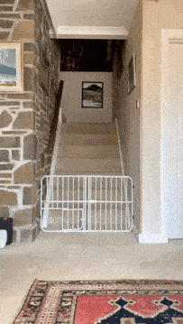 missed-the-jump970742.gif