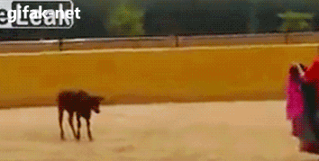 tumblr_n3b3x0cpBy1s2yegdo1_400.gif