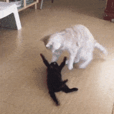 sit-down.gif