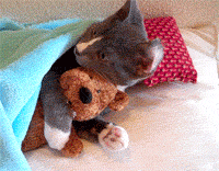 tumblr_lcvn0vjjtg1qztim7o1_250.gif