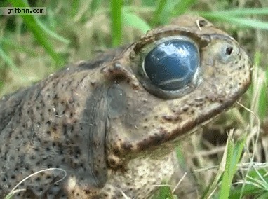 tumblr_m78pq3v3Pm1r0ff2oo1_400.gif
