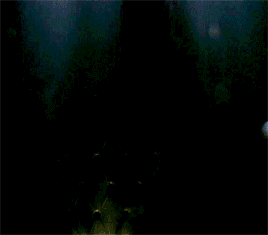 tumblr_ob66xcVE021rrkahjo2_400.gif