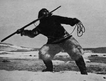 nanook.jpg