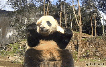 9dfe7d76547a0ab1d70b02d840a27880.gif