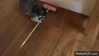 czTDce.gif