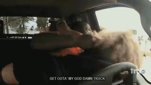 tumblr_n0zj2ibOha1s03jfgo6_500.gif