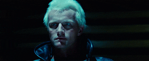tumblr_me8334QQyp1qg39ewo1_500.gif