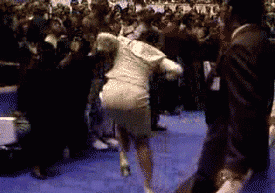 tumblr_m1obf8Zpmb1qgerbz.gif
