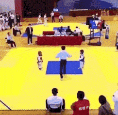 and-good-fight.gif