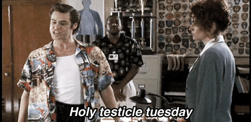 tumblr_nqfei1PCLB1s5v0leo1_500.gif