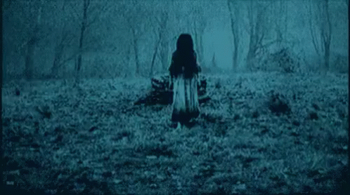 the-ring-sadako.gif