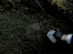 tumblr_nn7qqaWX1P1sdv4q6o1_250.gif