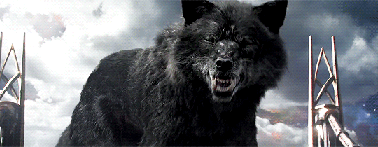 tumblr_otis255nm61u1kyq6o1_540.gif