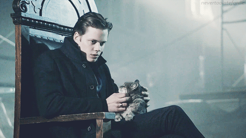 tumblr_inline_o5nk3tskKJ1ry4gkf_500.gif