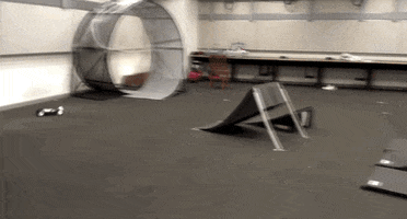 200.gif