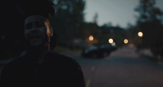 55373da74a3f99652d5439a4209cf954.333x178x66.gif