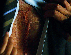 tumblr_mvuksd00Az1qgzpr7o4_250.gif