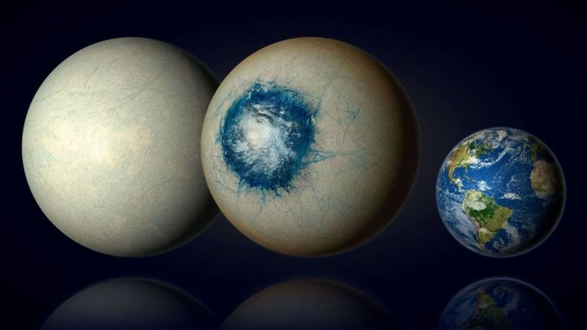 www.livescience.com