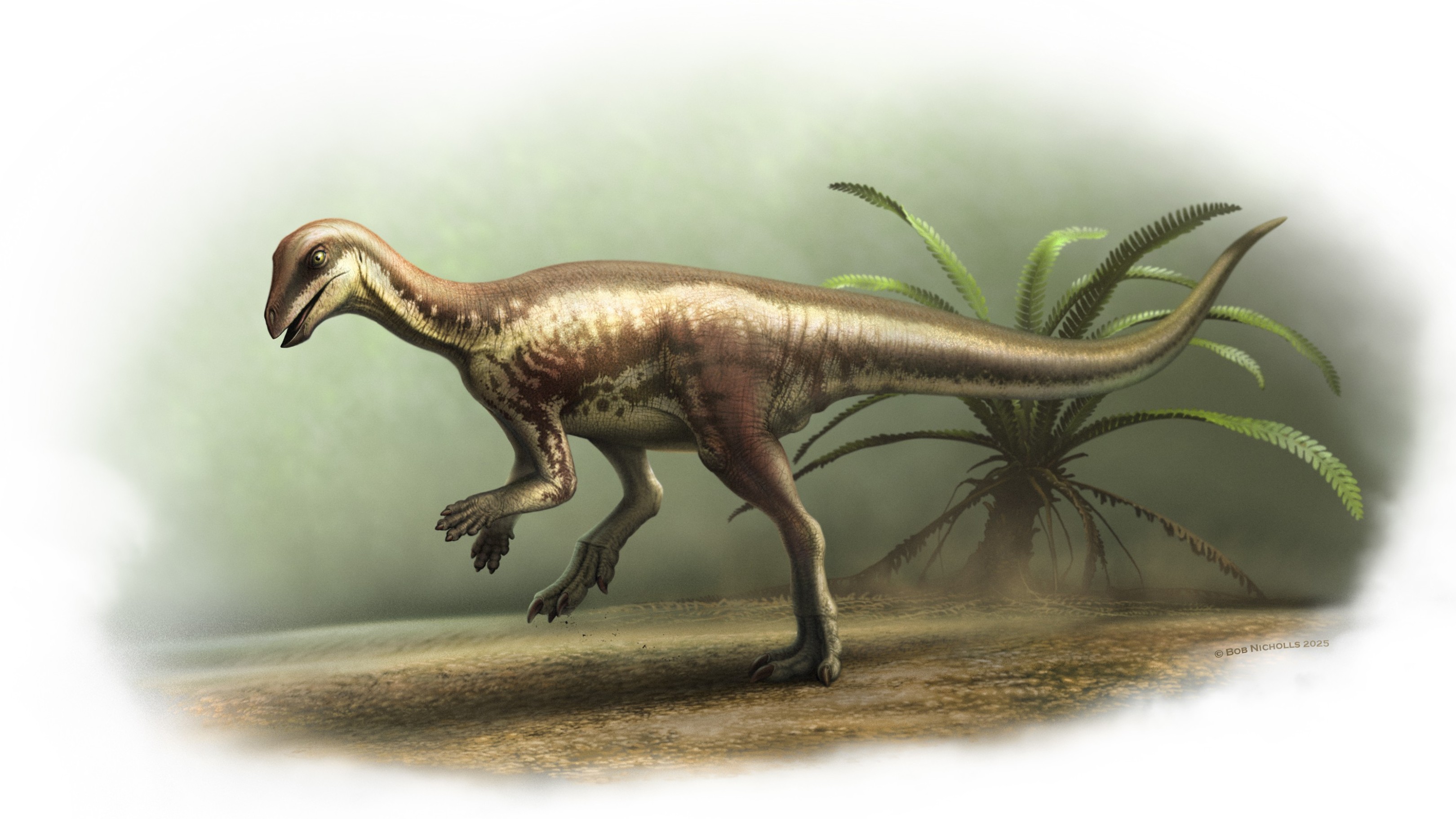 www.livescience.com